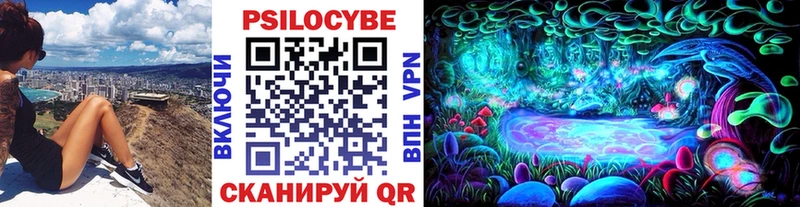 Купить закладки  Зарайск  Псилоцибиновые грибы Psilocybe 